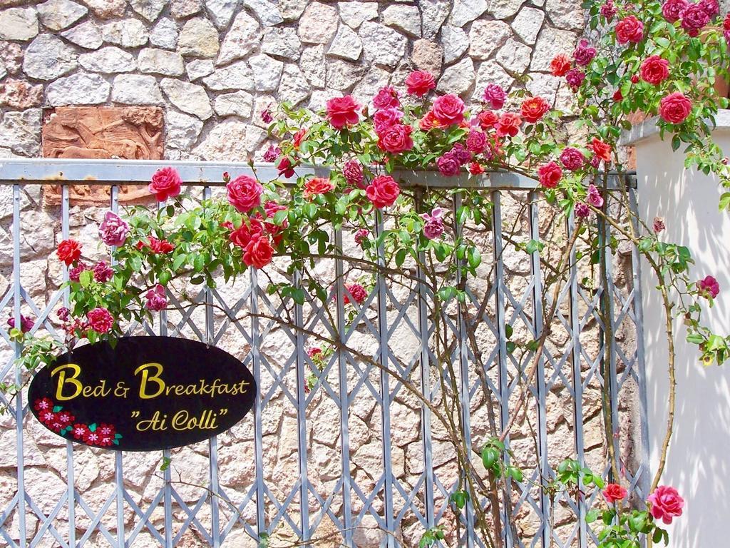 Ai Colli B&B Salò Quarto foto